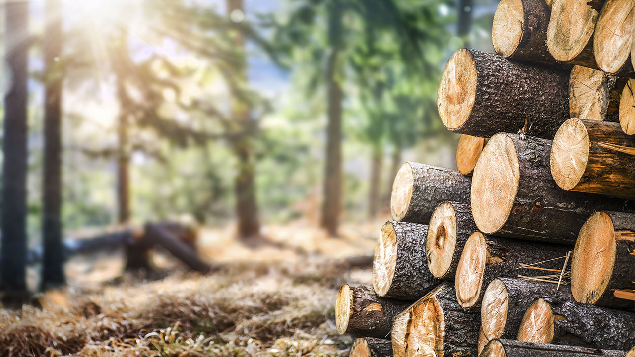 Solutions vertes, Chauffez au bois écolo